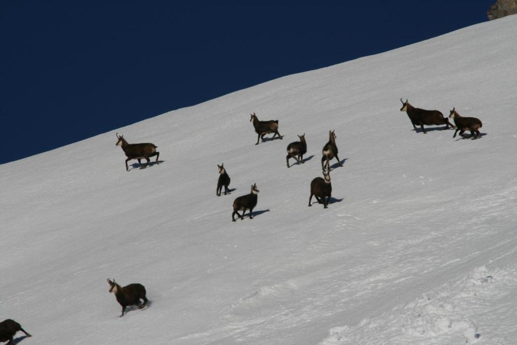 Landhaus Flunger Sankt Anton am Arlberg Exteriér fotografie